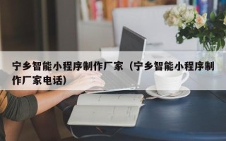 琼中宁乡智能小程序制作厂家（宁乡智能小程序制作厂家电话）