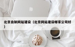 琼中北京自制网站建设（北京网站建设哪家公司好）